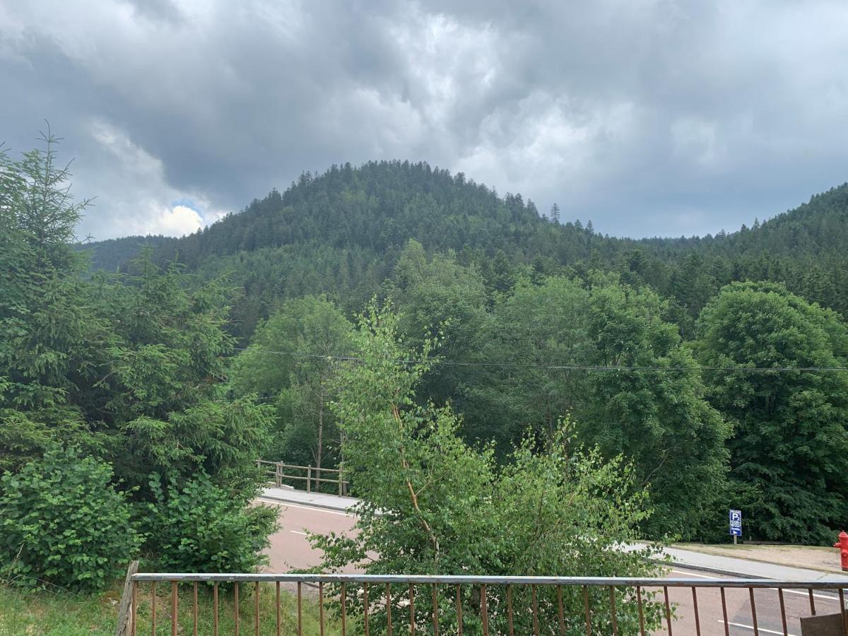 Gite De L'Ours La Bresse Buitenkant foto