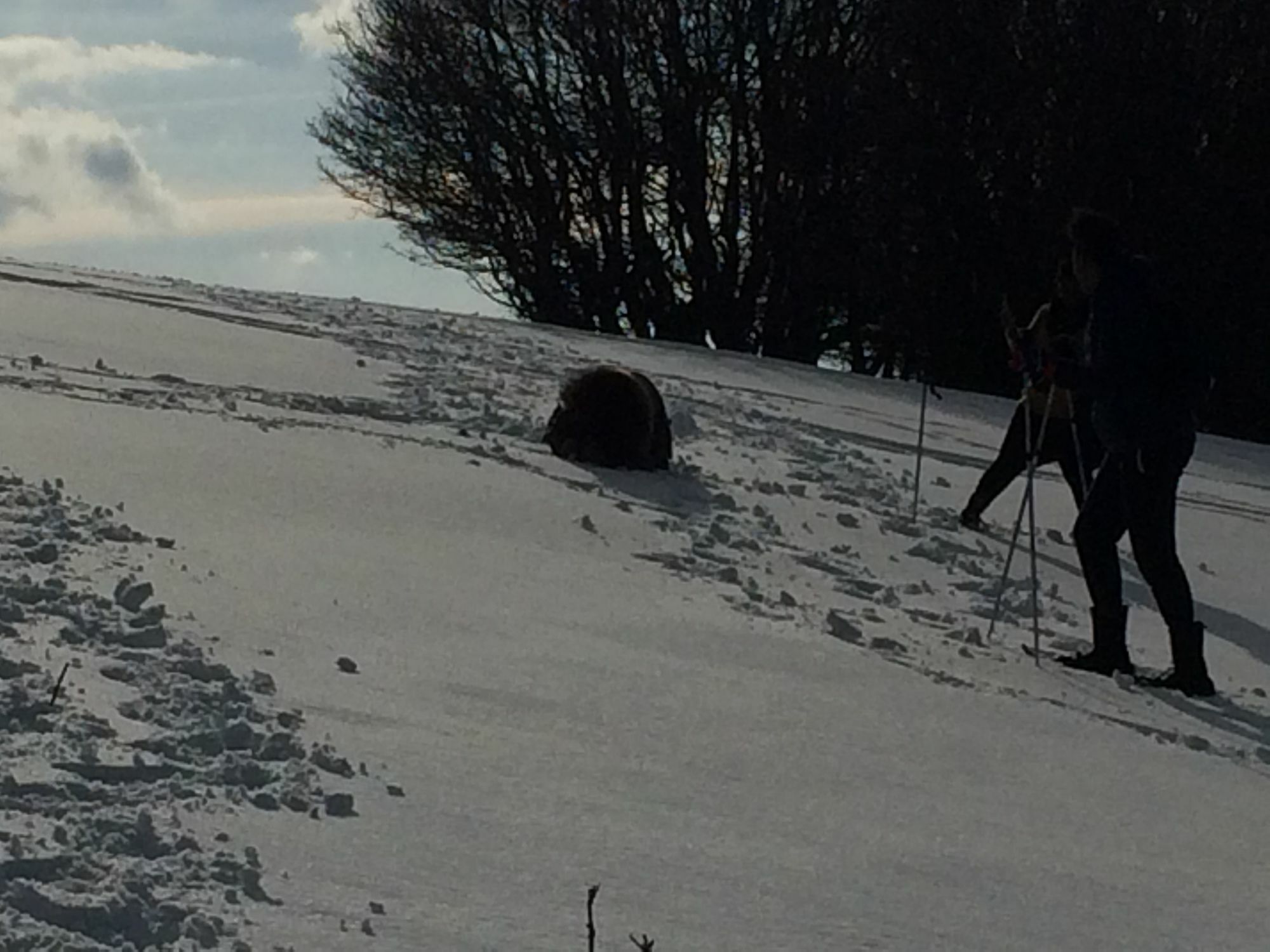 Gite De L'Ours La Bresse Buitenkant foto